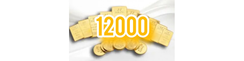 12000 G20